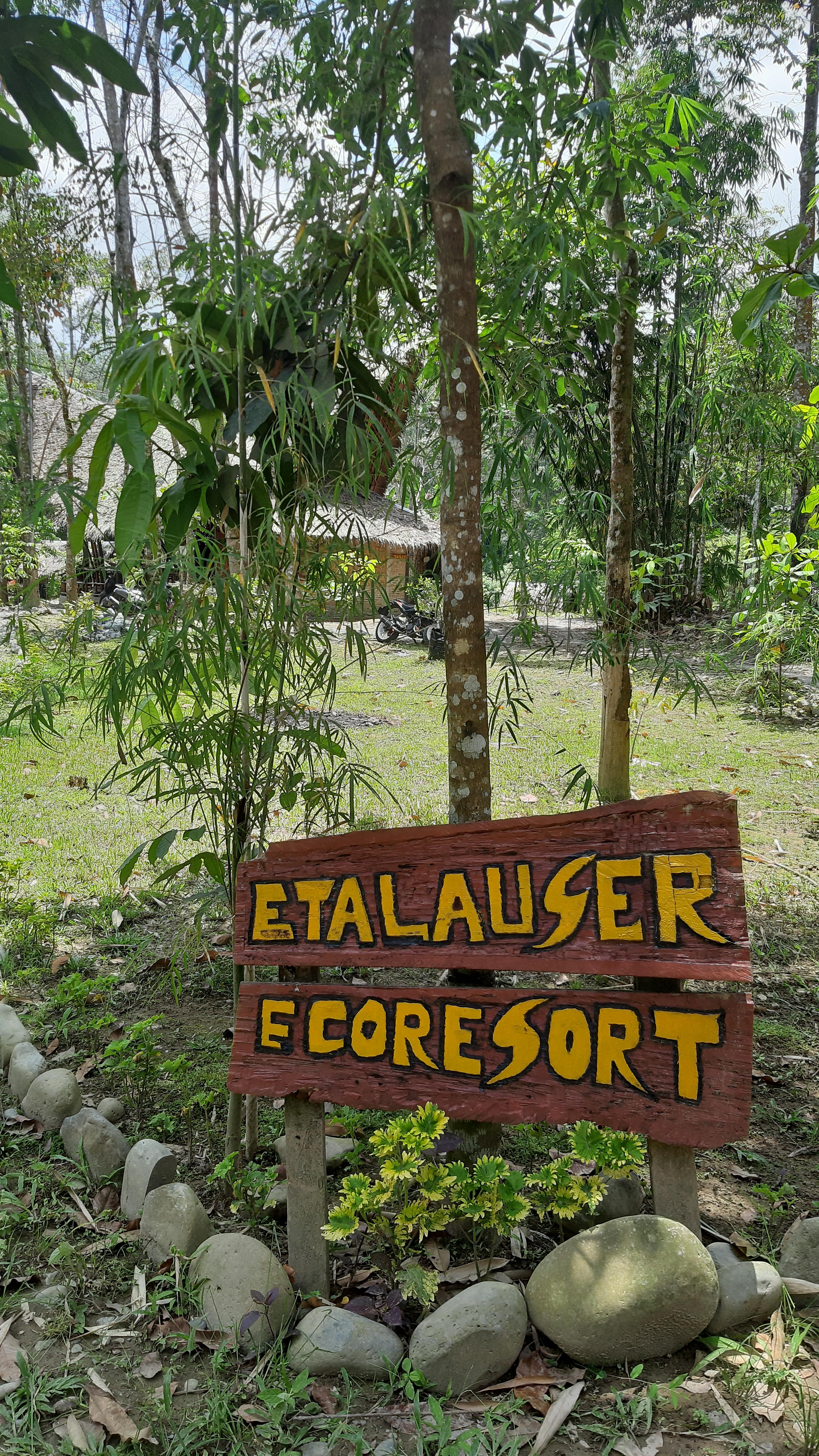 Exotic Bukit Lawang 2D1N